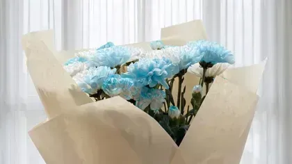 실패 없는 감성 청첩장 만드는 법, 딱 5가지 